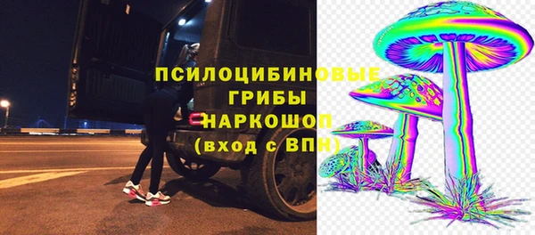 гашик Семёнов