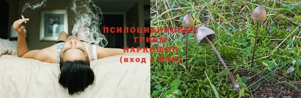 гашишное масло Сатка