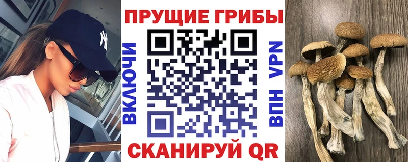 Псилоцибиновые грибы мухоморы Кодинск