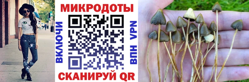 Галлюциногенные грибы Psilocybine cubensis  Купить где  Кодинск 